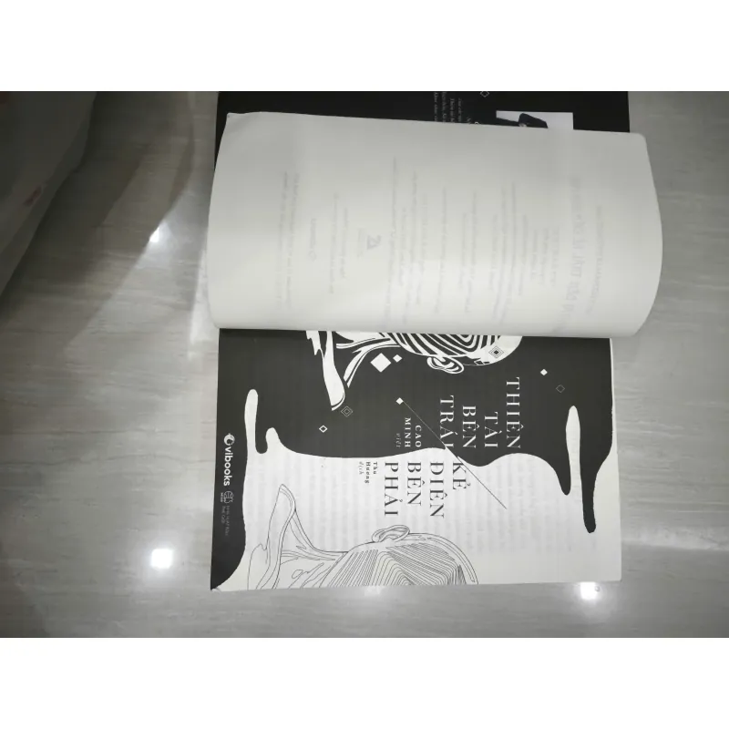 Thiên tài bên trái - kẻ điên bên phải 718477