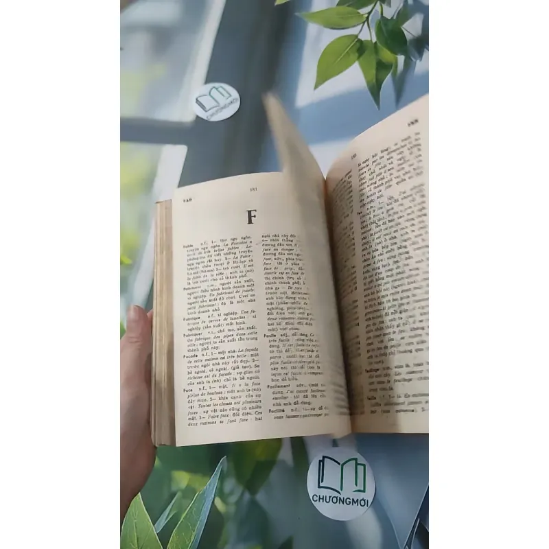 [MIỄN PHÍ BỌC SÁCH] [XƯA] Từ Điển Pháp - Việt (1986) - Dặng Đình Thường chủ biên 997828