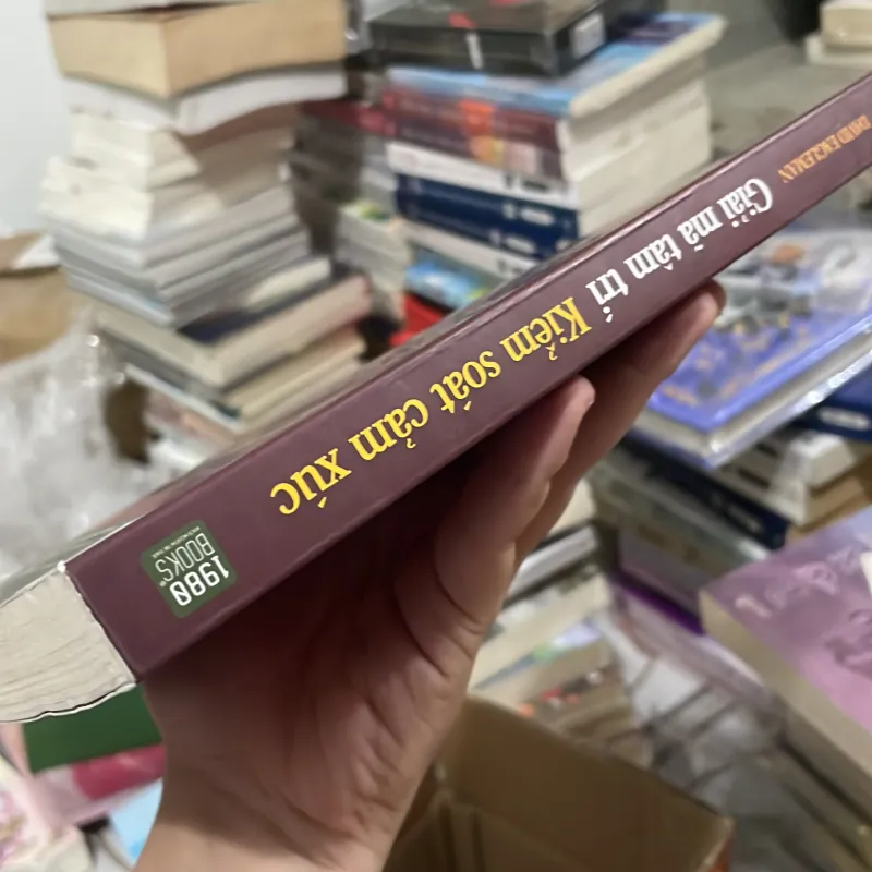 Giải mã tâm trí Kiểm Soát Cảm Xúc - David Eagleman 1004683