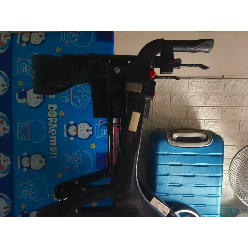 Xe tập đi cho người lớn tuổi  975513