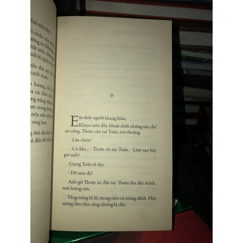 Vào cõi - Nguyễn Bình Phương  1018611