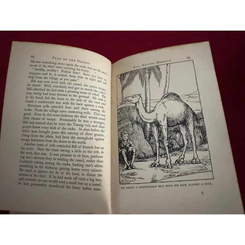 Sách ngoại văn tiếng Anh - Flag of the desert 713370