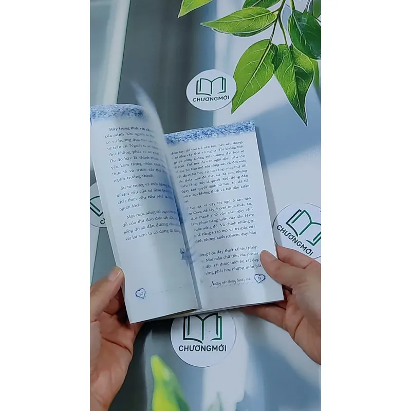 Những Nấc Thang Hạnh Phúc - Hoàng Mai 634461