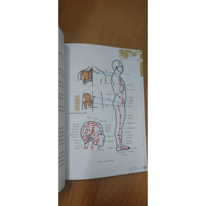 DƯỠNG SINH THÔNG KINH LẠC  517246