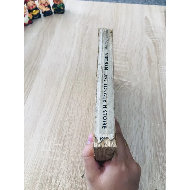 VIETNAM – Une Longue Histoire (Lịch sử Việt Nam) 971828