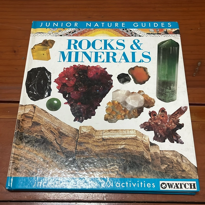 PICTURE BOOK Rocks & minerals 536494