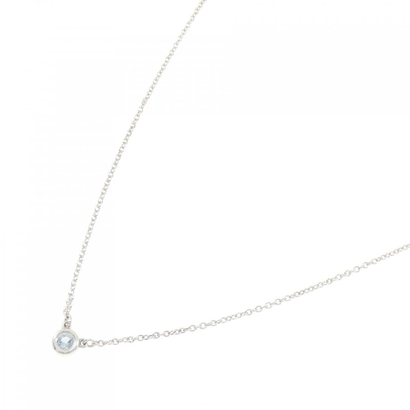 Dây chuyền Tiffany By The Yard - Hàng hiệu Authentic 842297