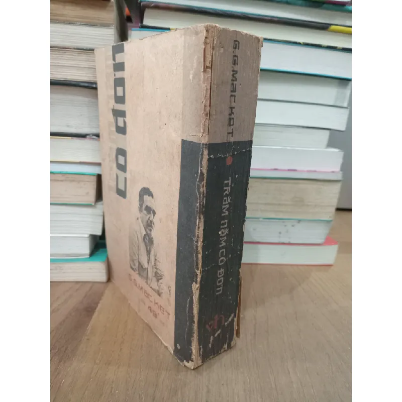 Trăm năm cô đơn - Gabriel Garcia Marquez Nguyễn Trung Đức , Nguyễn Quốc Dũng , Phạm Đình Lợi dịch 137652