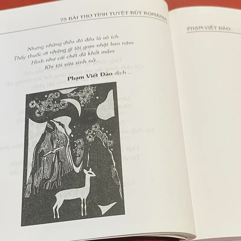 75 bài thơ tình tuyệt bút Romanie 603349