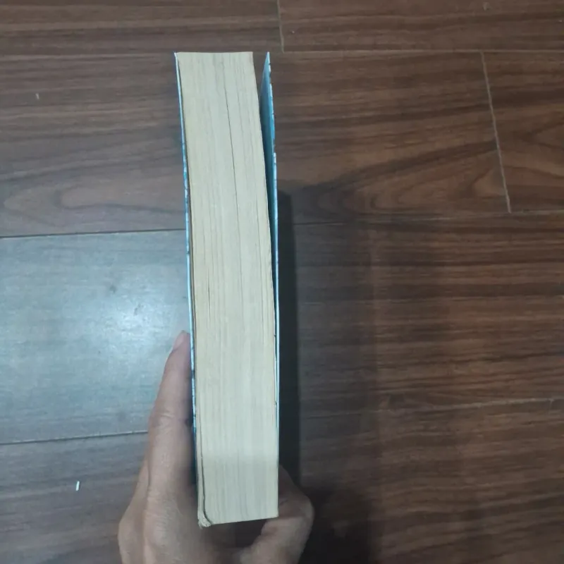 Hòi ly biết yêu 746465