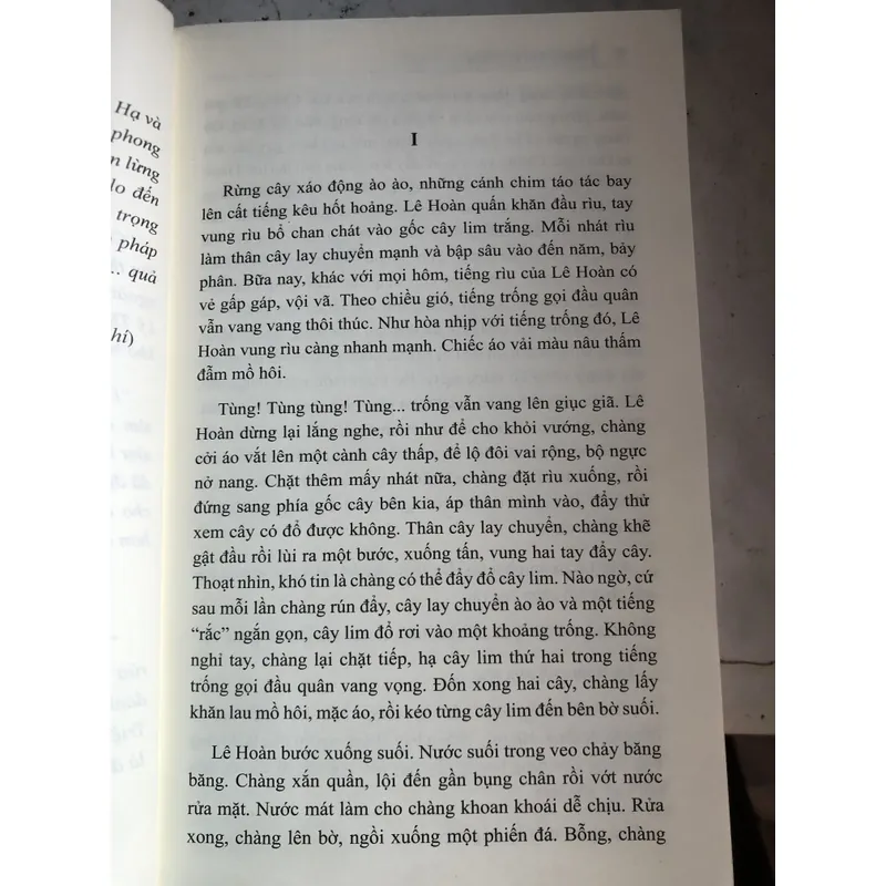 Thập đạo tướng quân Lê Hoàn 727850