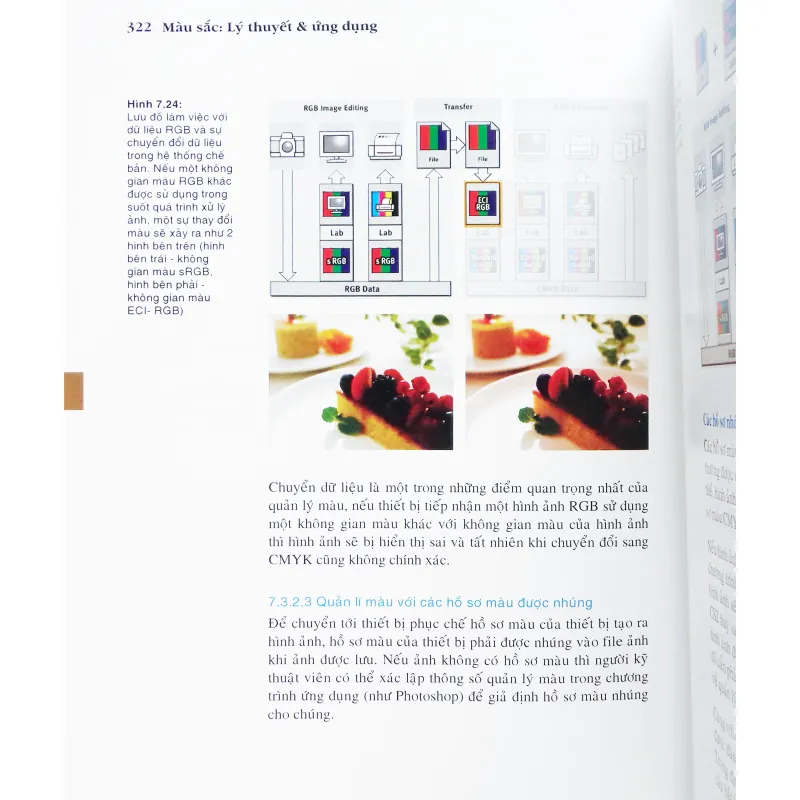 Màu Sắc - Lý thuyết & ứng dụng (trong lĩnh vực thiết kế - đồ họa - In) 24742