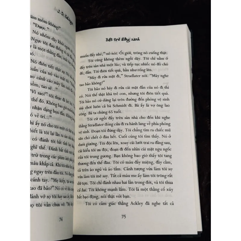 Bắt trẻ đồng xanh (bìa cứng) 708047