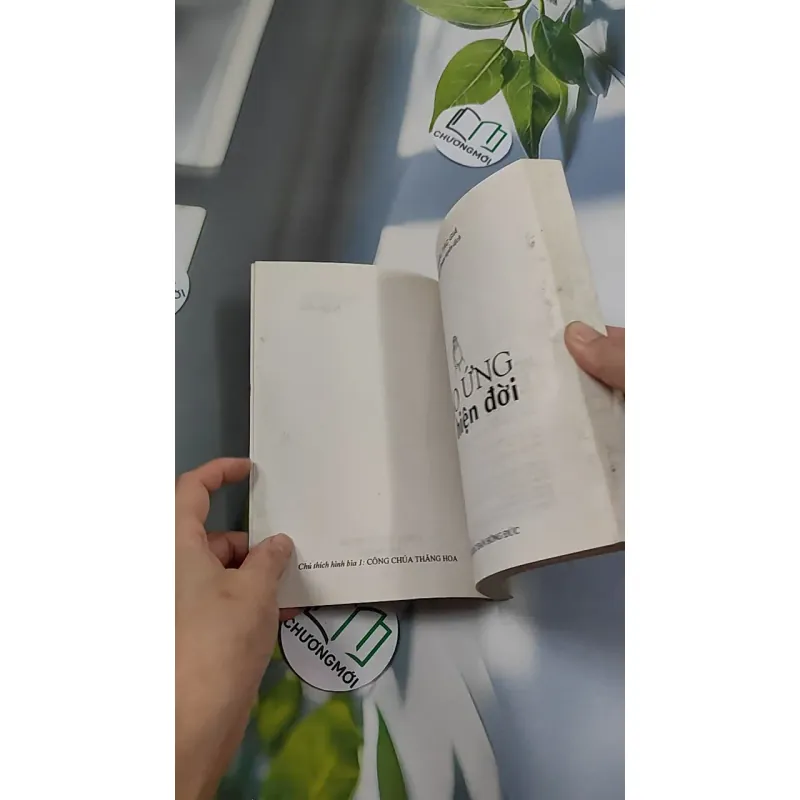 Báo Ứng Hiện Đời - Hạnh Đoan 776114