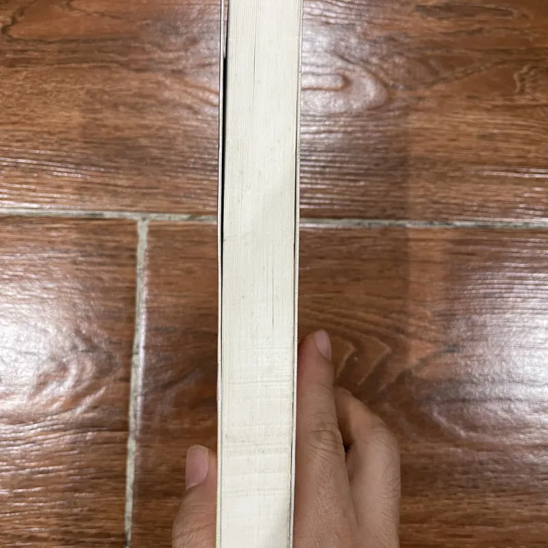 Kim Tự Tháp Đỏ - Rick Riordan (15) 975232