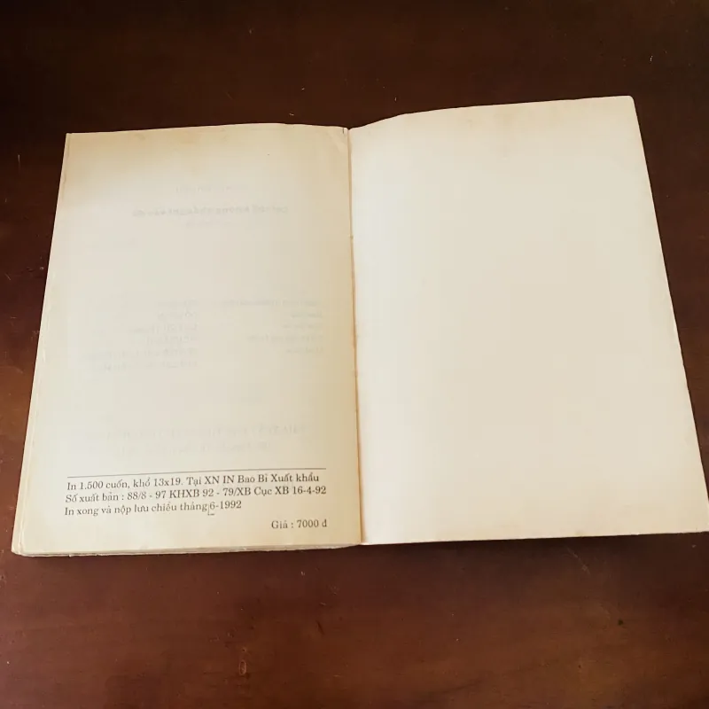 Lời thề không khắc ghi vào đá - Ngọc Linh (1992) 974177