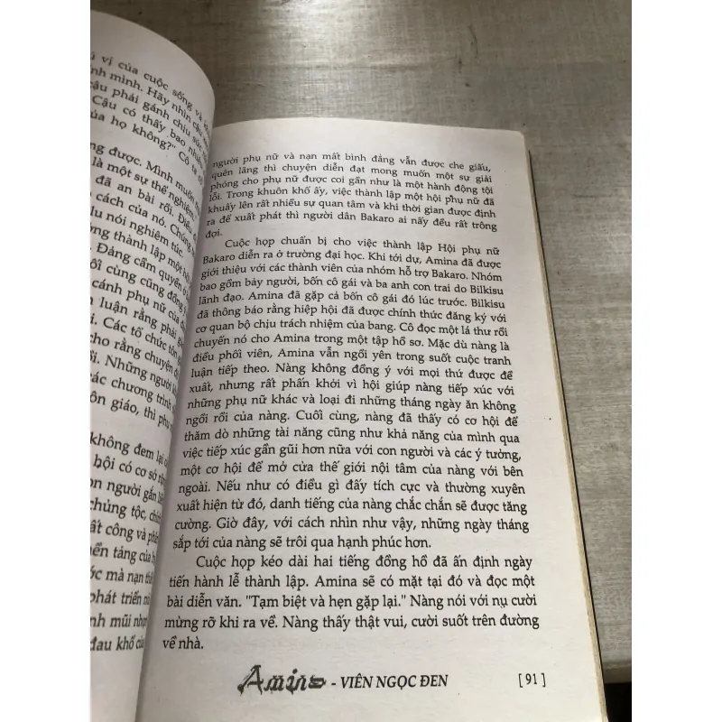 Amina - viên ngọc đen 784366