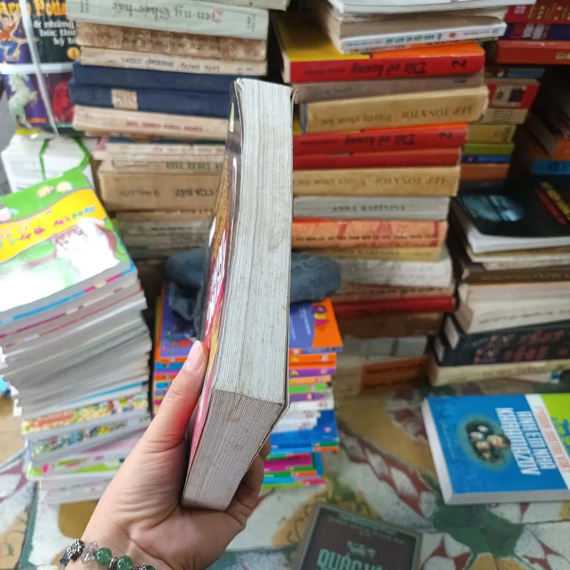 Thuật Trung Dung- Mã Đạo Tông 718395