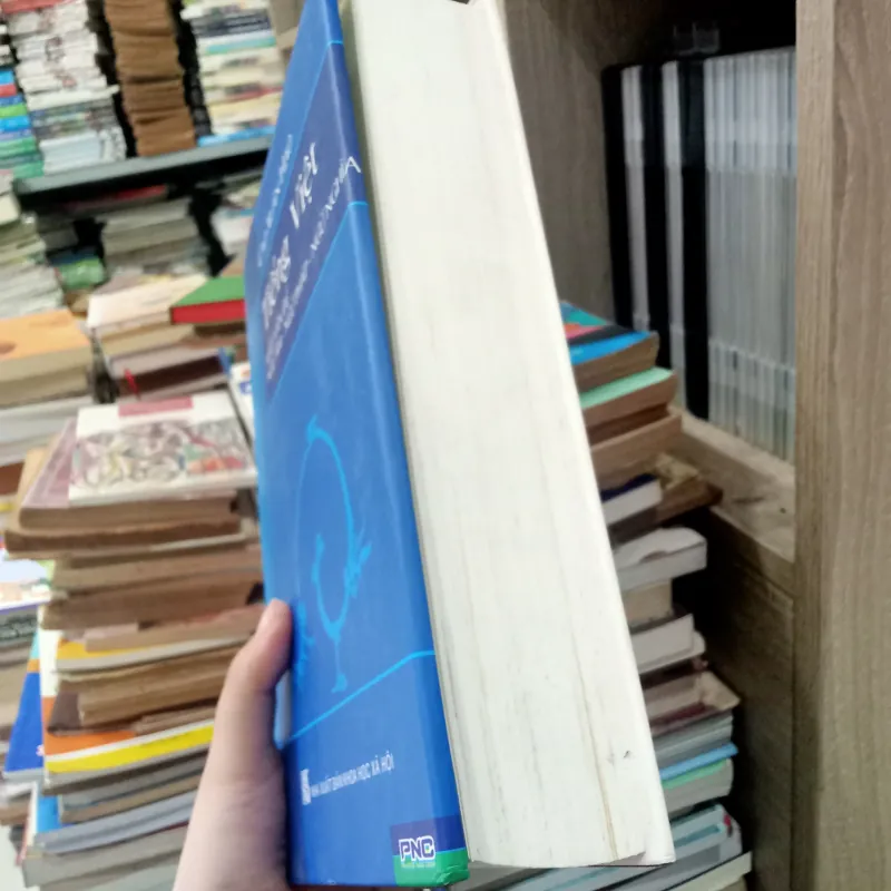 Tiếng Việt _ Mấy vấn đề ngữ âm, ngữ pháp, ngữ nghĩa 📚 783019