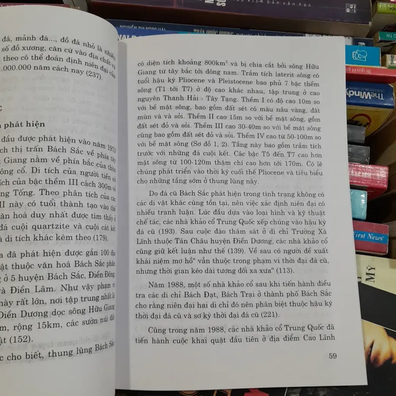 MỐI QUAN HỆ VĂN HÓA THỜI TIỀN SỬ GIỮA BẮC VIỆT NAM VÀ NAM TRUNG QUỐC - TRÌNH NĂNG CHUNG 729861