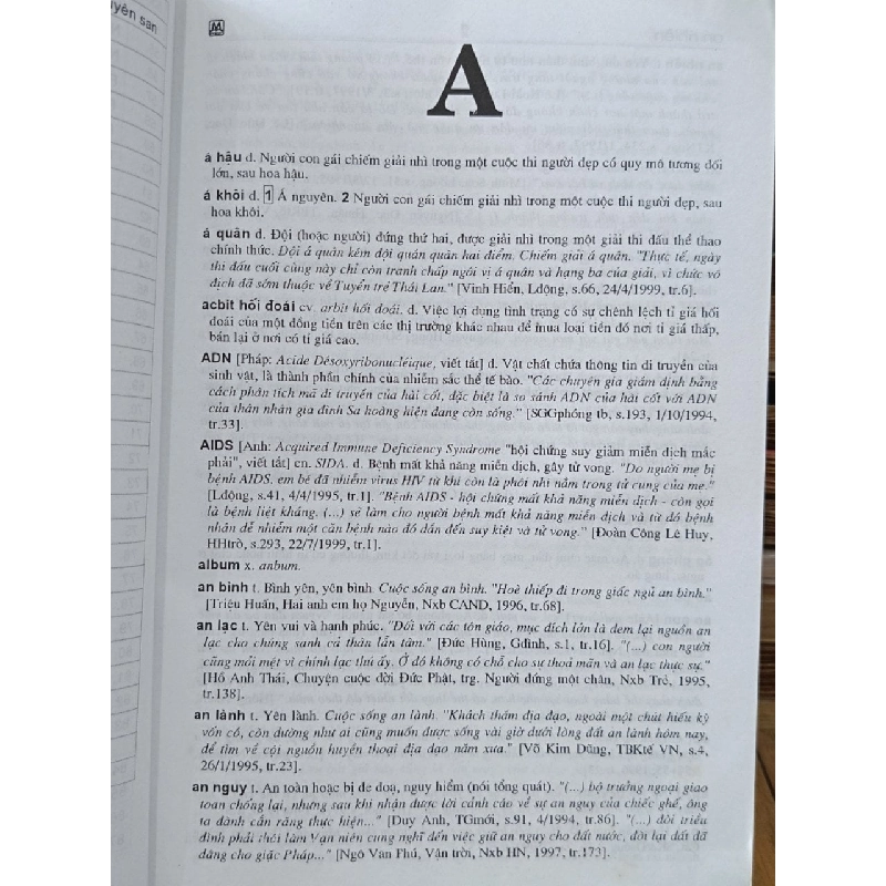 Từ điển từ mới tiếng Việt - Viện ngôn ngữ học 1006469