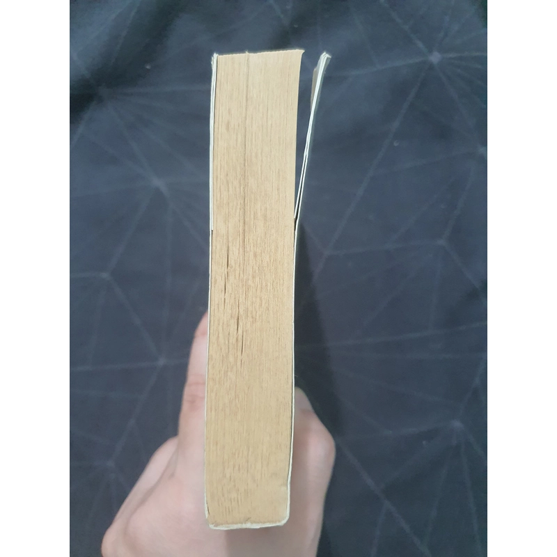 "Khổng Tước Rừng Sâu" - Thái Trí Hằng 498933