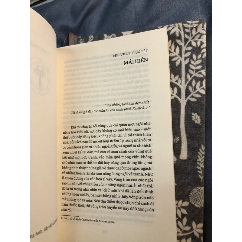 HERMAN MELVILLE - Ngắn (Tập truyện ngắn, 2024) 333183
