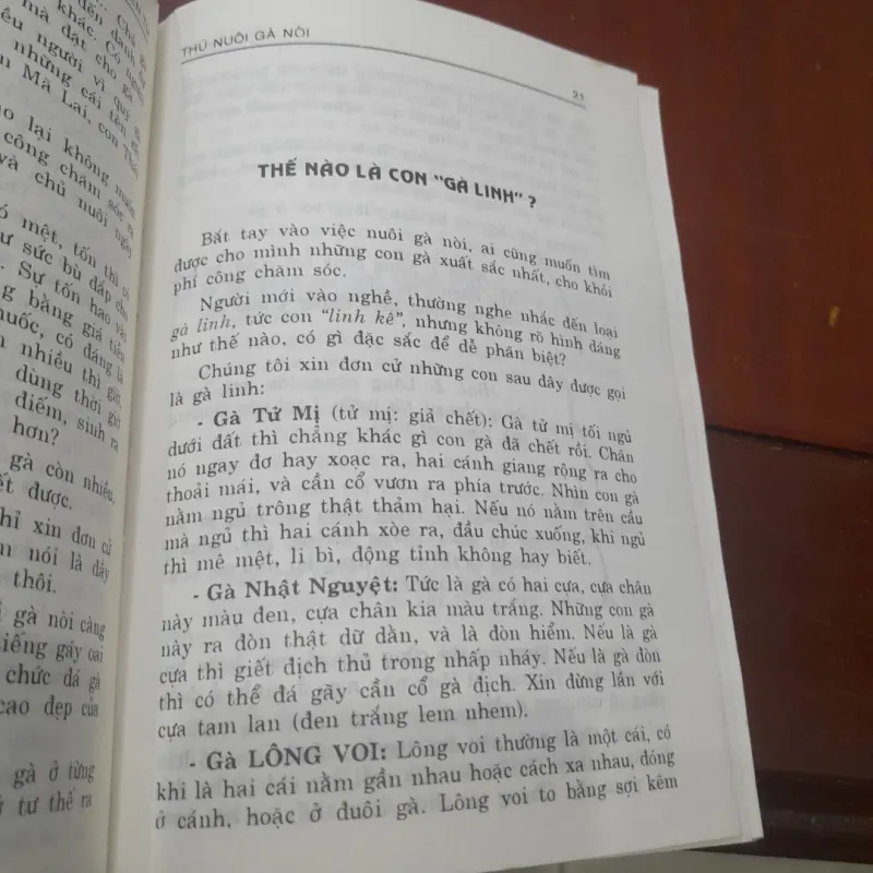 THÚ NUÔI GÀ NÒI 931198