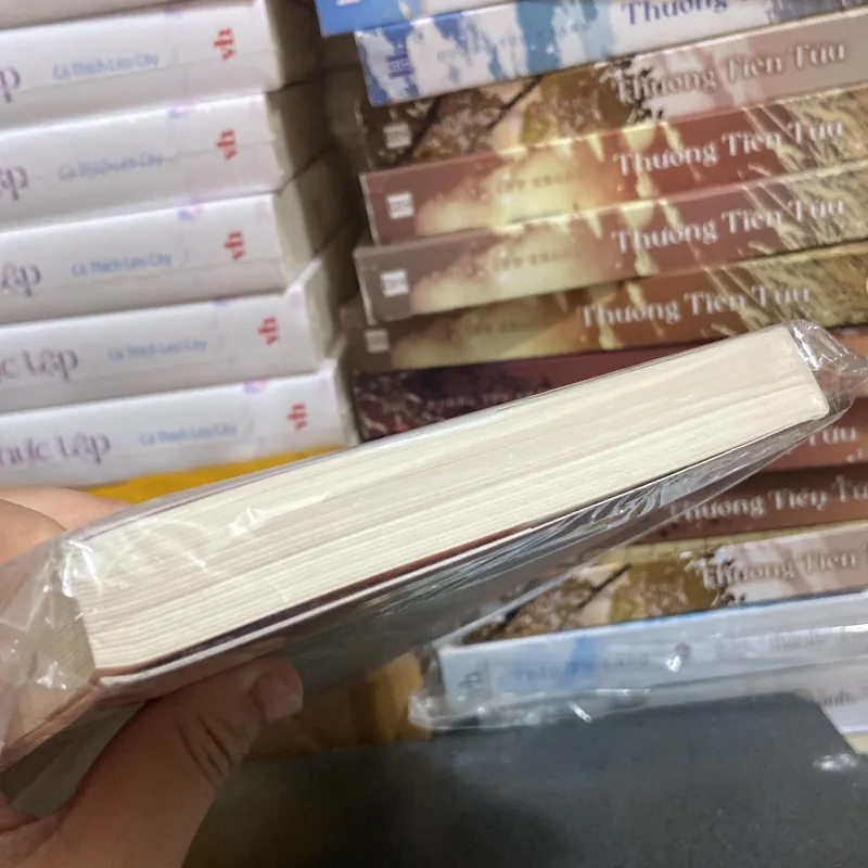 (Văn học kinh điển) - Lá Thư - Richard Paul Evans 976273