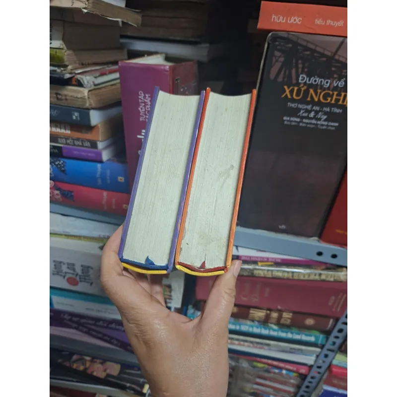 Tiểu thuyết dòng đời của Nguyễn Trung 931201