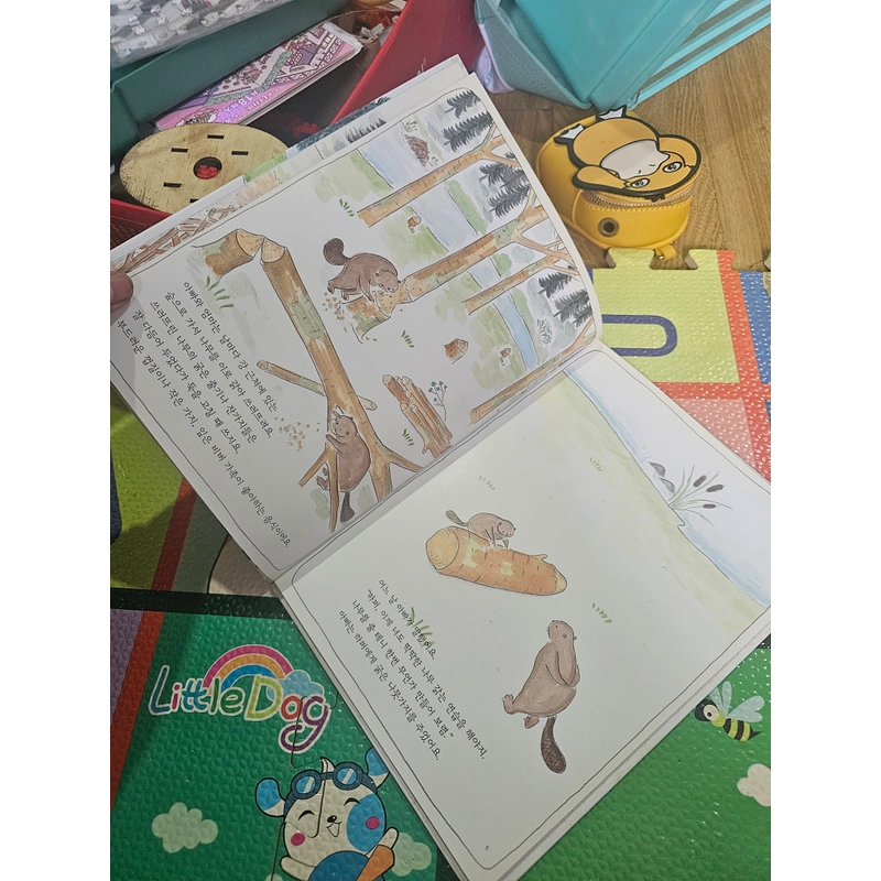 Sách học tiếng Hàn bìa cứng In màu như hình  418800
