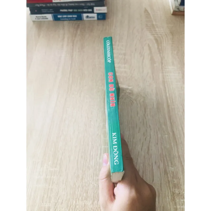 CON BÙ NHÌN 1027797