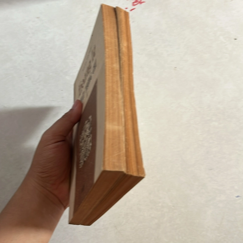 Hoàng Lê nhất thống chí — Ngô Văn Gia Phái — 1987s (trọn bộ 2 tập) 499104