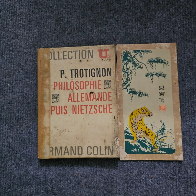 P. TROTIGNON

PHILOSOPHIE ALLEMANDE PUIS NIETZSCHE 740780