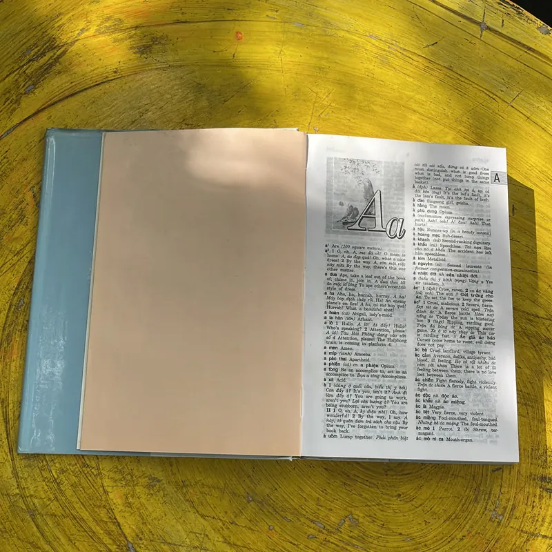 TỪ ĐIỂN VIỆT - ANH- VIỆN NGÔN NGỮ HỌC 604689