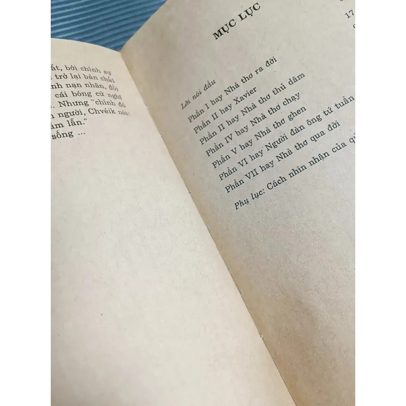 Cuộc sống không ở đây (Milan Kundera) 734653