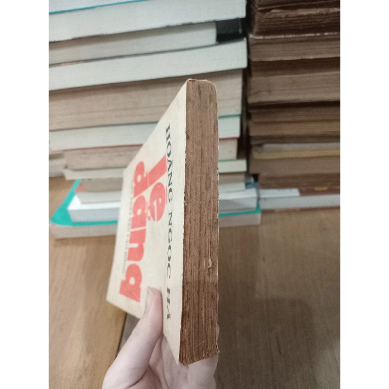 Lệ đắng - Hoàng Ngọc Hà 755732