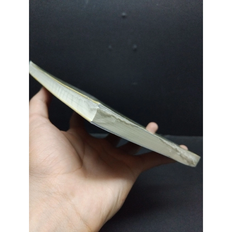 Những Người Hàng Xóm mới 100% HCM0107 Nguyễn Nhật Ánh VĂN HỌC 916266