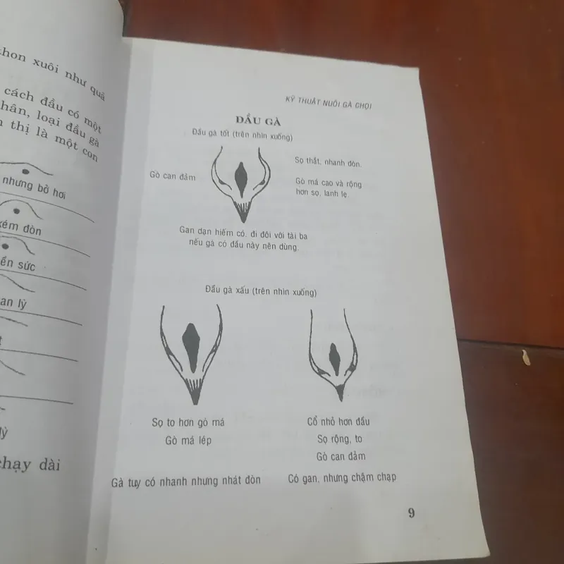 Kỹ thuật NUÔI GÀ CHỌI 565219