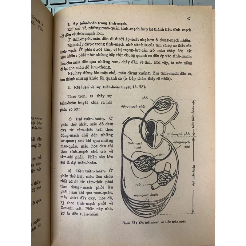 VẠN VẬT HỌC LỚP 9 - NGÔ ĐÌNH HOÀN 778858