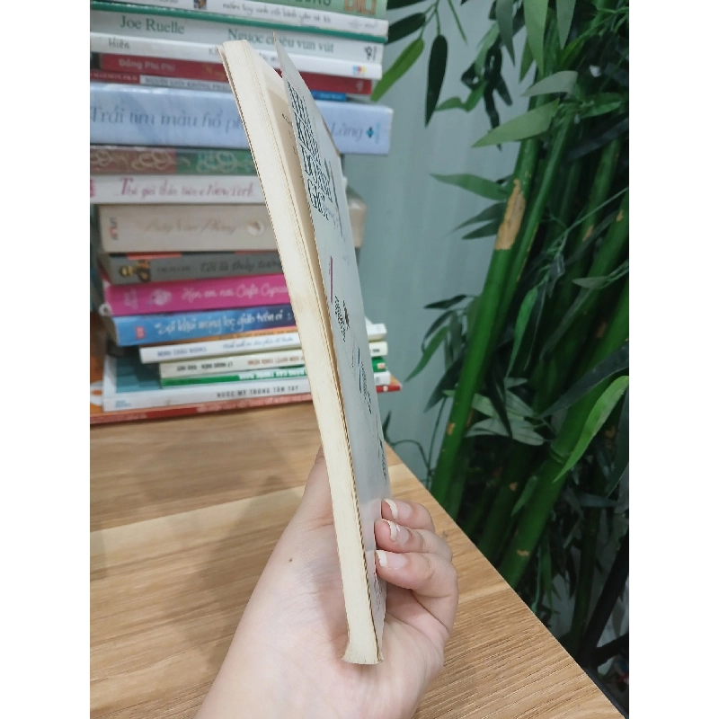 Thành công trước tuổi 30 để trở thành nhà kinh doanh giỏi - Quý Trinh 749304