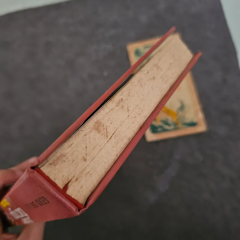 Từ điển tục ngữ thế giới 736843