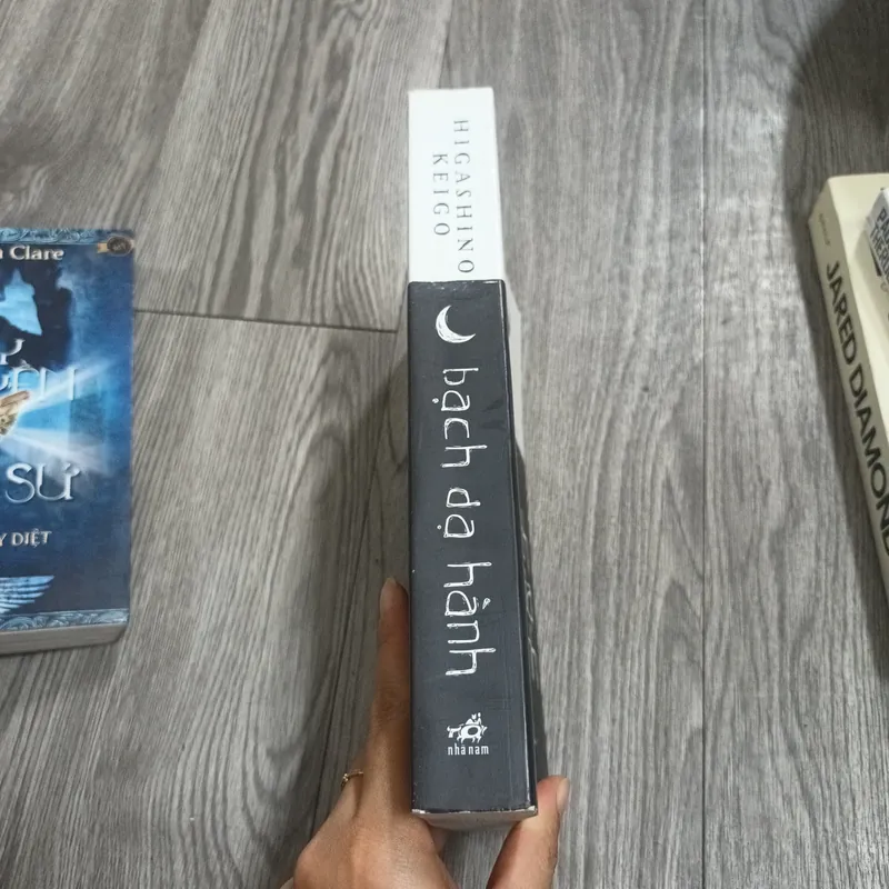 Bạch Dạ Hành - Higashino Keigo 699319