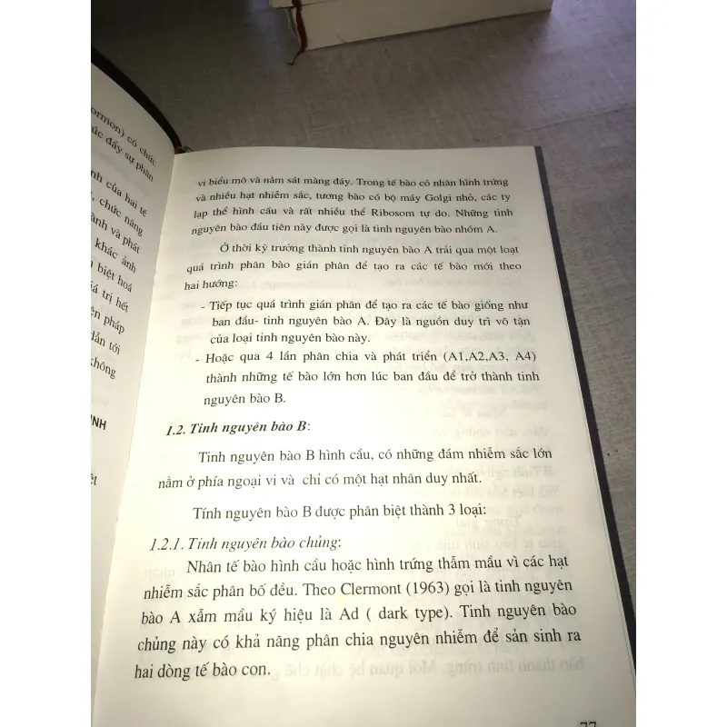 Bệnh học giới tính nam  779584