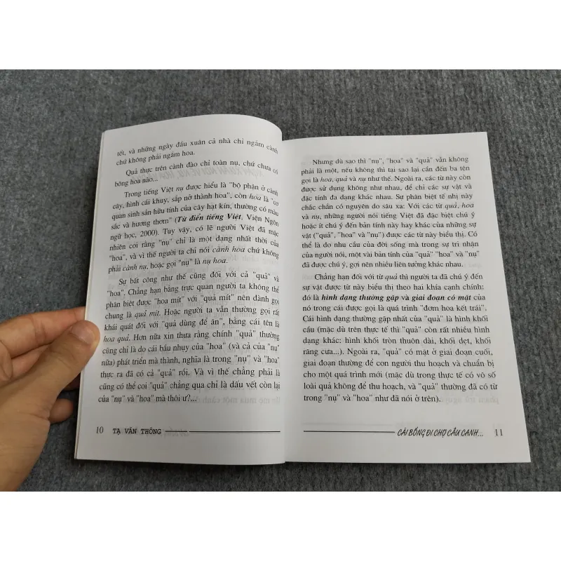 CÁI BỐNG ĐI CHỢ CẦU CANH... - TẠ VĂN THÔNG 570999