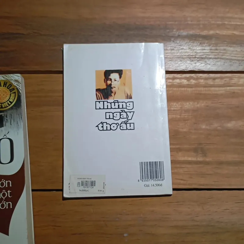 Những ngày thơ ấu - Nguyên Hồng  567895