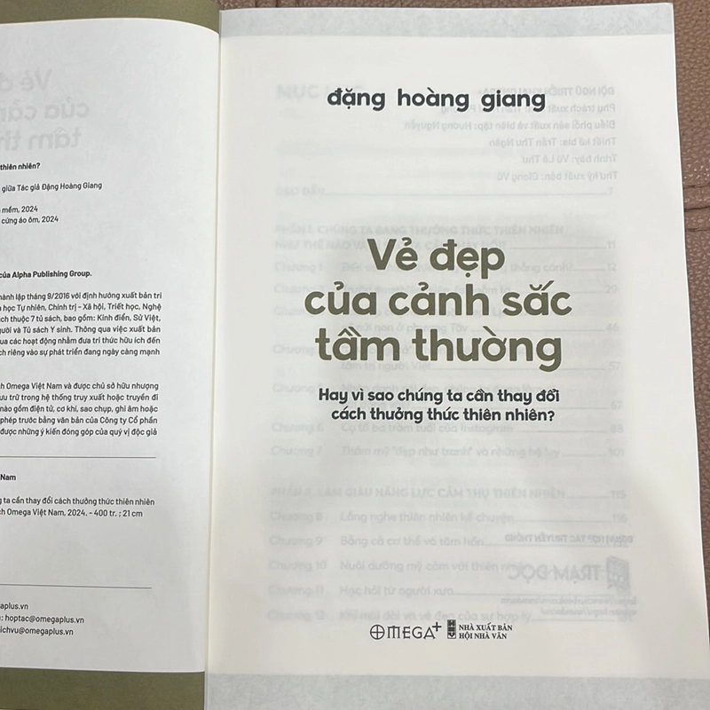 Vẻ đẹp của cảnh sắc tầm thường 470174