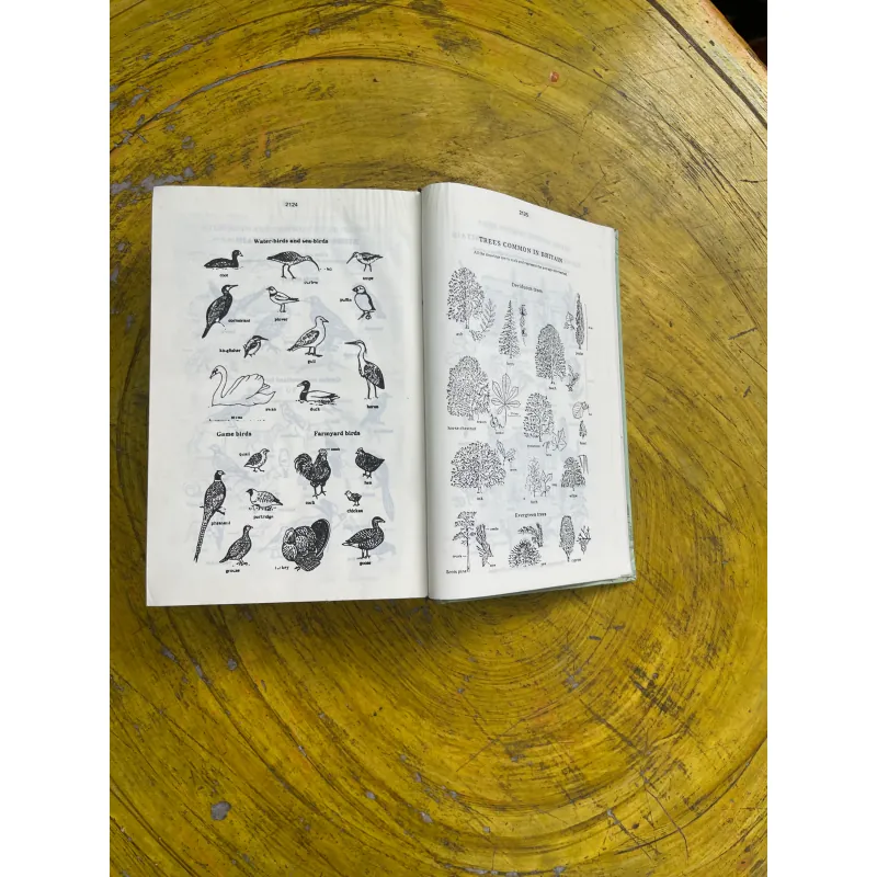 TỪ ĐIỂN ANH - VIỆT ENGLISH- VIETNAMESE DICTIONARY 2007 731063