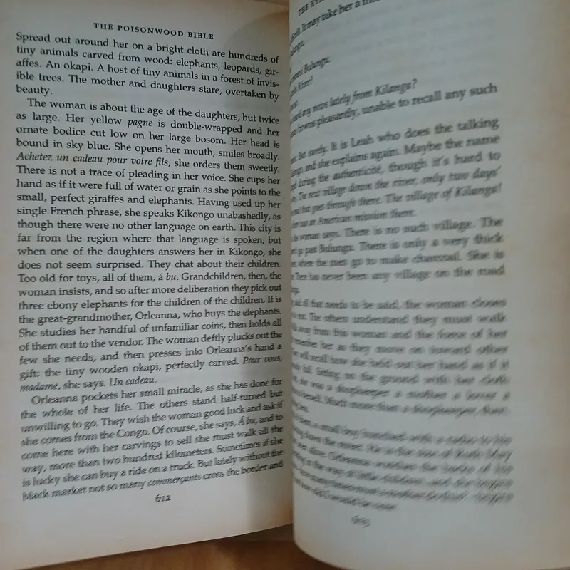 The Poisonwood Bible - Barbara Kingsolver 711400