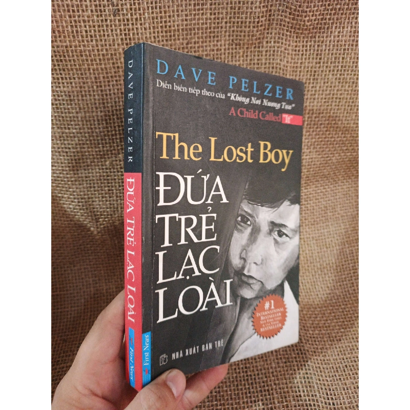 Đứa trẻ lạc loài - Dave Pelzer 2009 mới 80% ố (Văn học nước ngoài) HLSC2404 1028295